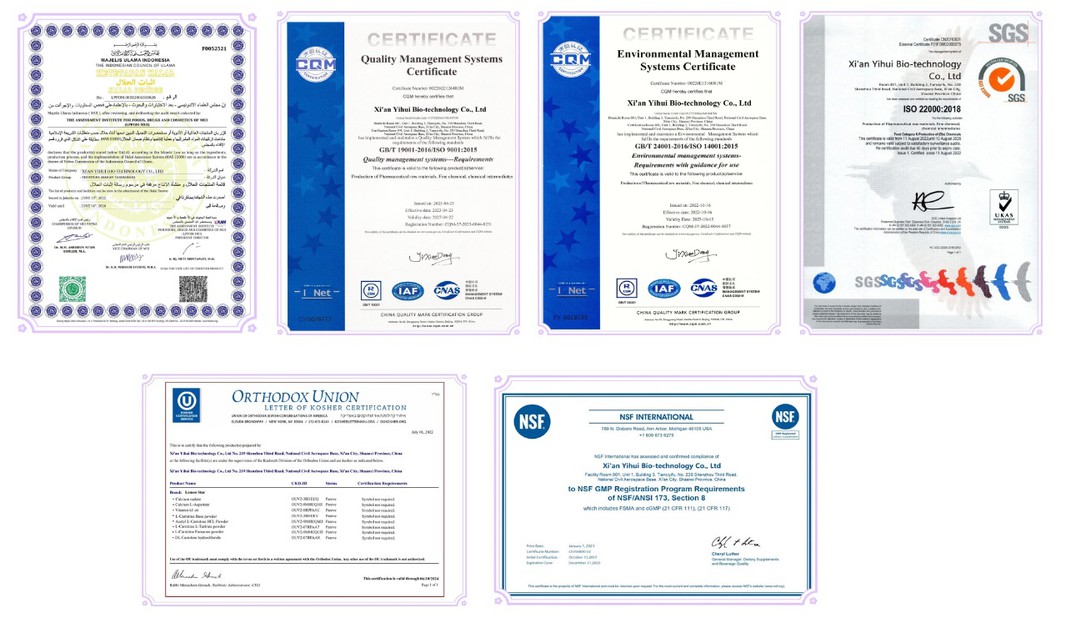 certificate certificate